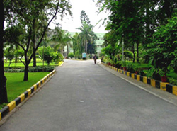 IIRS Campus: Way to Main Building