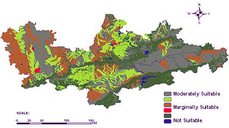 Image of Crop-specific (soyabean) suitability map in part of Madhya Pradesh State, India based on FAO-AEZ approach
