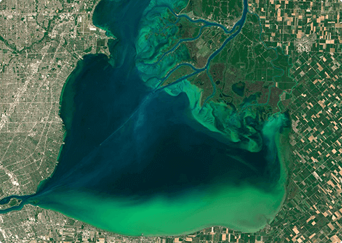 Image of Algae Bloom in Lake St.Clair