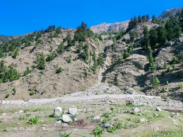 Image of Gullied Lands with Deodar